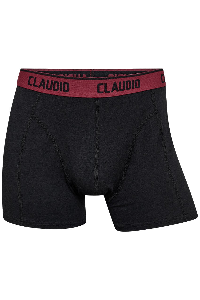 Bambus underbukser 5-pak Tights - Claudio, Flerfarvet
